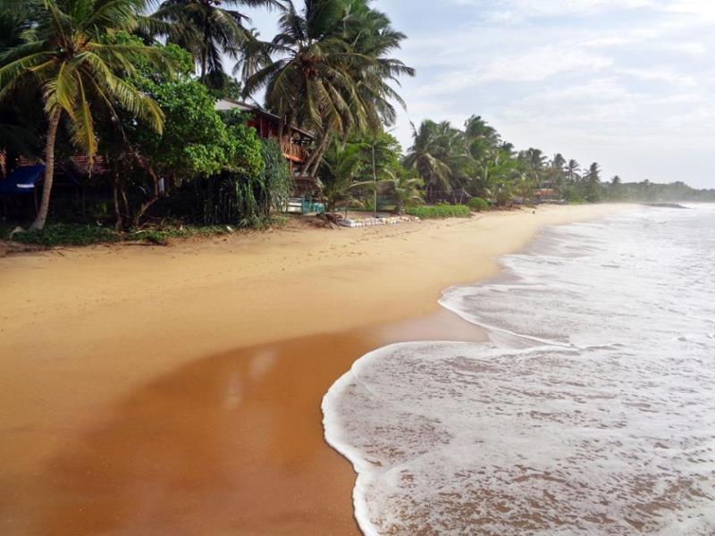 Reggae Zone Beach Resort Tangalle Zewnętrze zdjęcie