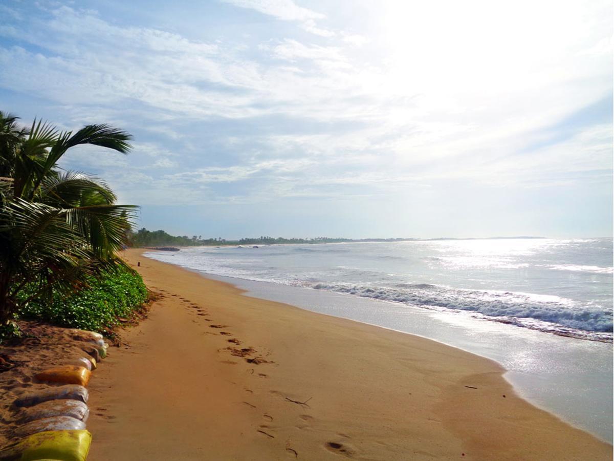 Reggae Zone Beach Resort Tangalle Zewnętrze zdjęcie