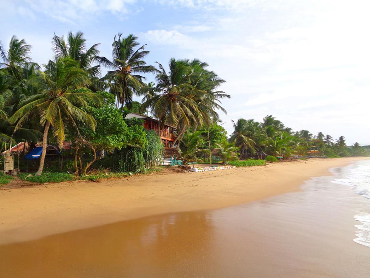 Reggae Zone Beach Resort Tangalle Zewnętrze zdjęcie