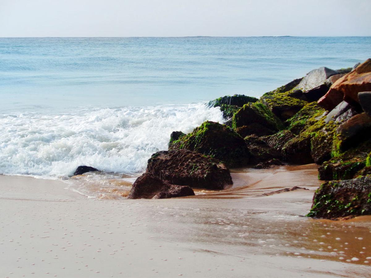 Reggae Zone Beach Resort Tangalle Zewnętrze zdjęcie